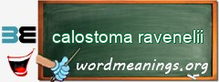 WordMeaning blackboard for calostoma ravenelii